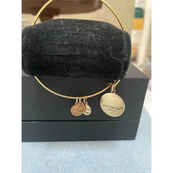 - Alex and Ani Initial "L" Expandable Wire Bangle with  Rafaelian Gold finish - Picture 1 of 8